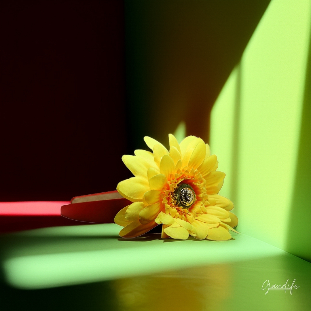 Composizione con luce naturale e fiore giallo