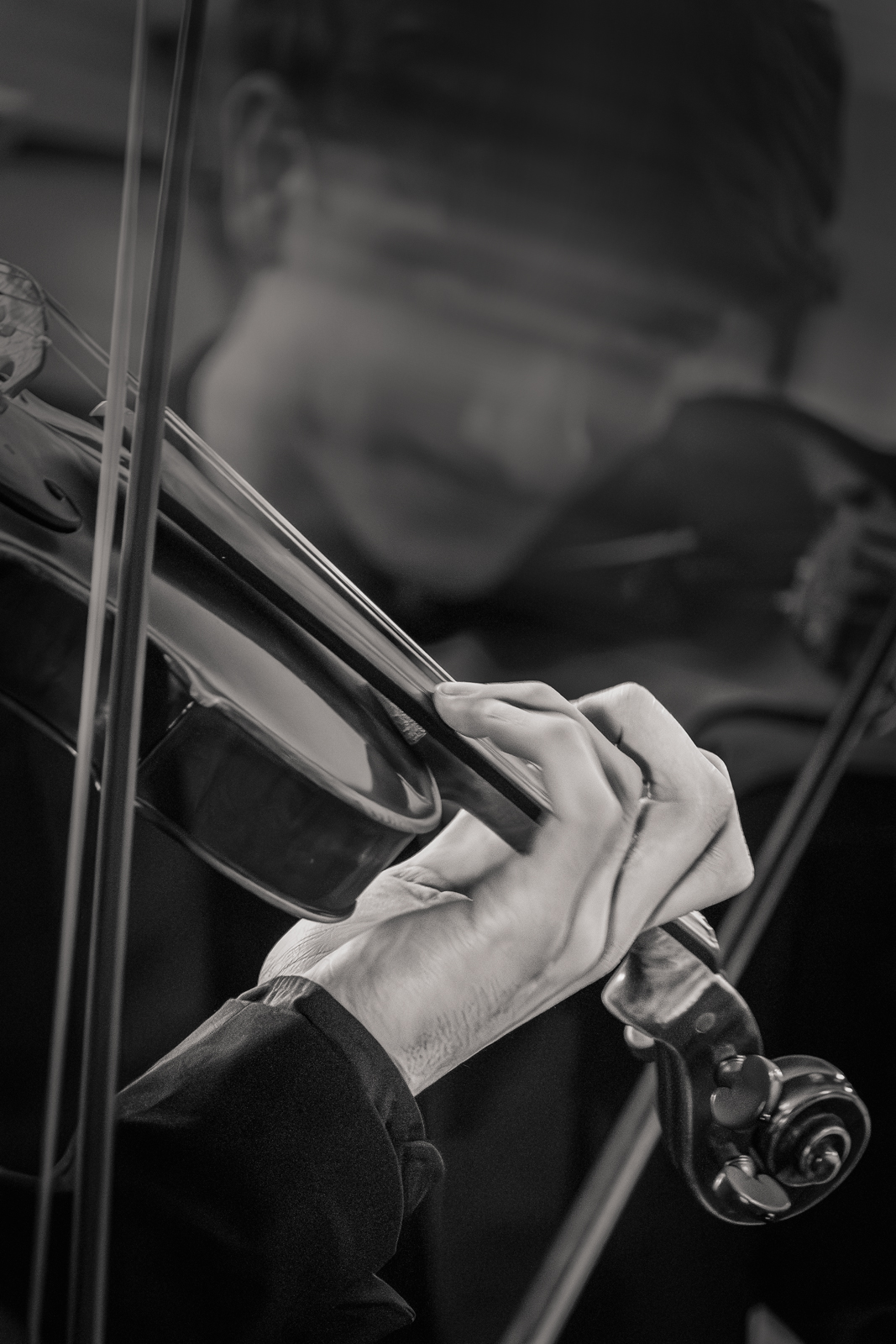 Dettaglio della mano sul violino, Ensemble '900, Bologna 2026