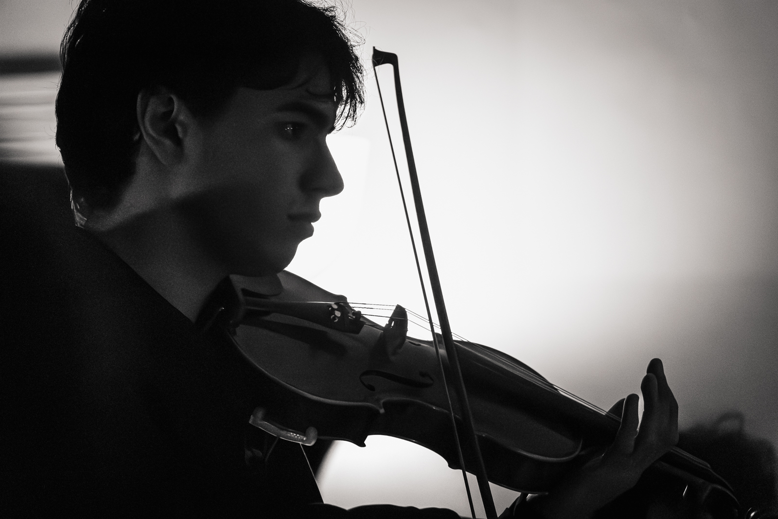 Violinista in controluce durante il concerto Ensemble '900, Goethe Institut Bologna