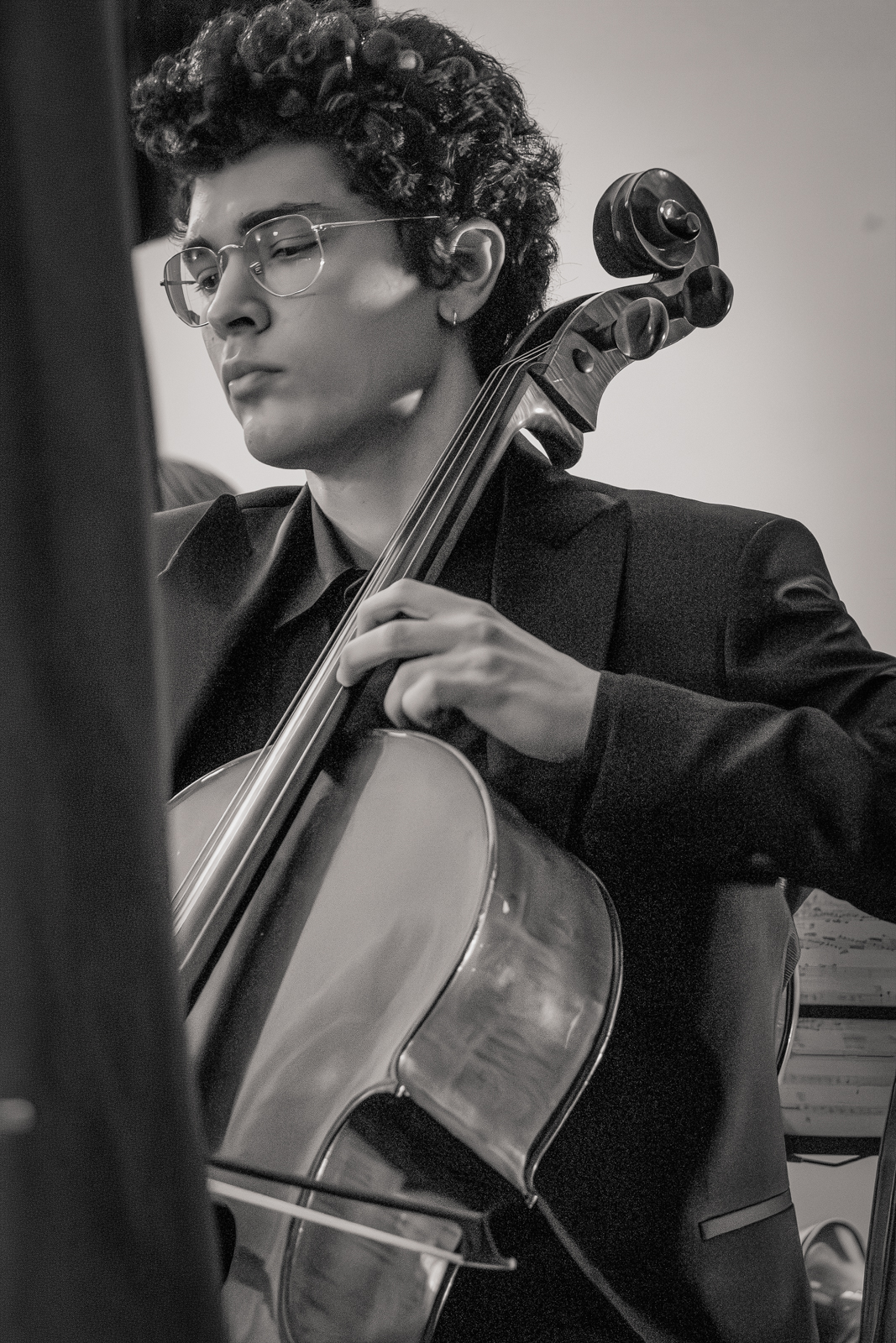 Violoncellista durante il concerto dell'Ensemble '900 al Goethe Institut di Bologna